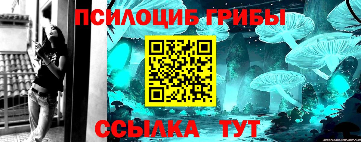 Галлюциногенные грибы Cubensis Волжск