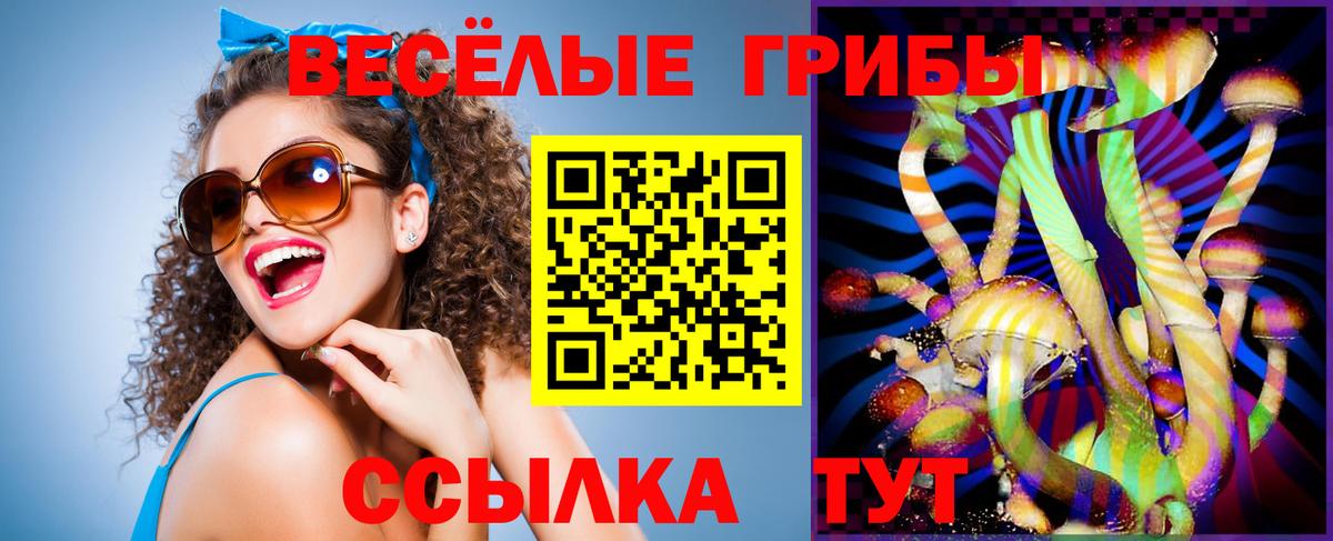 Волжск  Псилоцибиновые грибы GOLDEN TEACHER  Вход с VPN  где найти   Псилоцибиновые грибы Psilocybe 